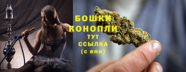 спайс Корсаков